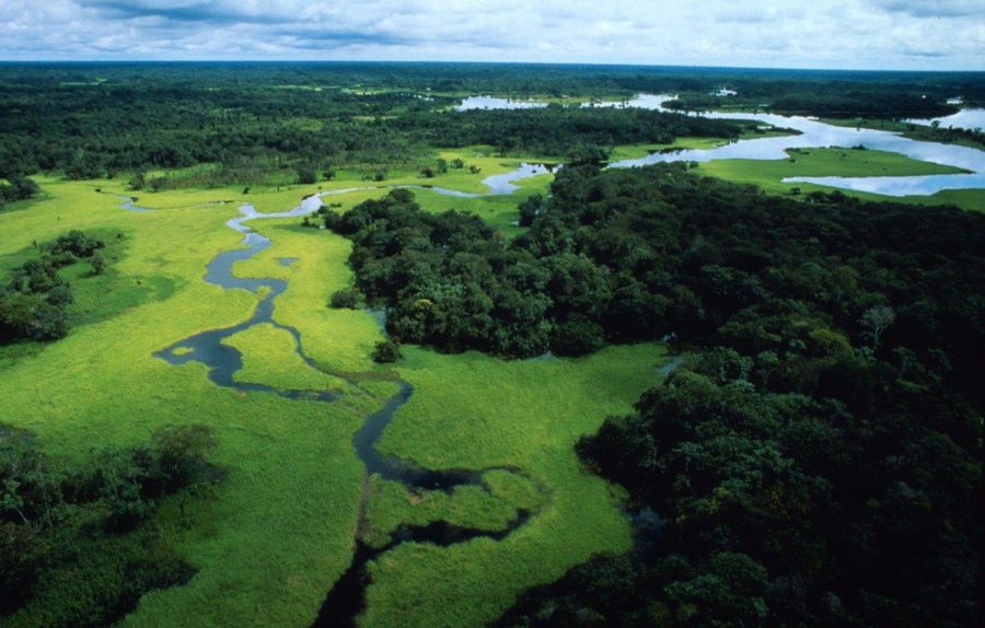 mille-chilometri-a-piedi-per-l’amazzonia:-la-personale-iniziativa-dell’ecologista-colombiano